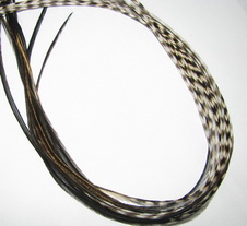 ���� Dry Fly (��� ����� ���) 10 �� ������  , ������ � 10